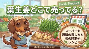 葉生姜 どこで売ってる