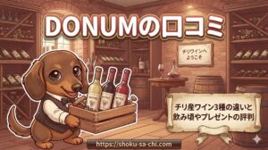 【DONUMの口コミ】チリ産ワイン3種の違いと飲み頃やプレゼントの評判